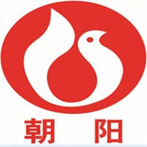 朝陽(yáng)泵業(yè)QZ軸流、QH混流潛水電泵